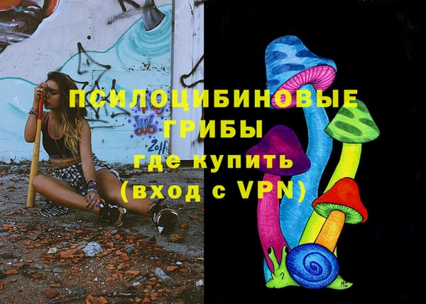 apvp Абаза