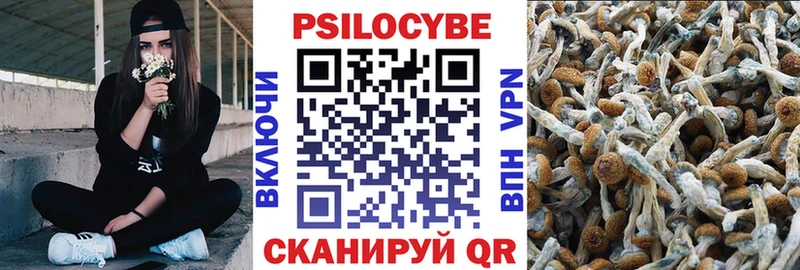 Галлюциногенные грибы мицелий  купить наркоту  Электросталь 